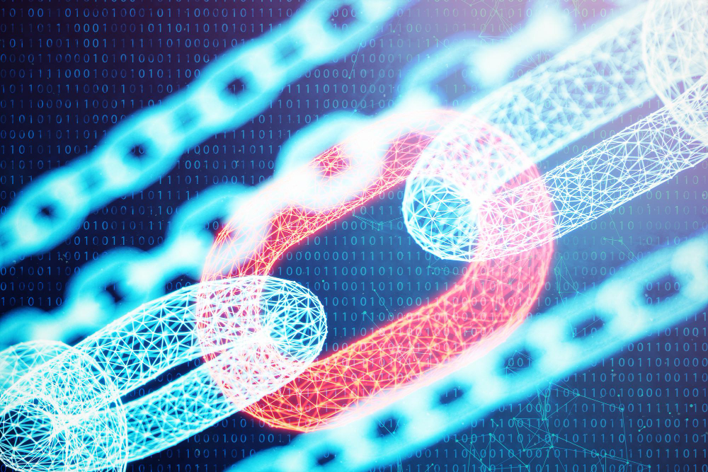 Red and blue chains symbolize Homomorphic Encryption