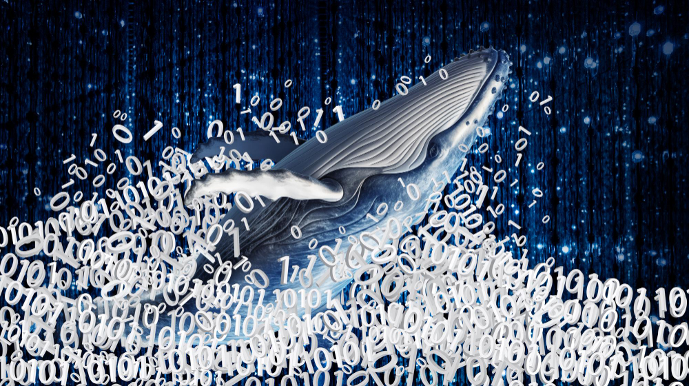 Whaling concept