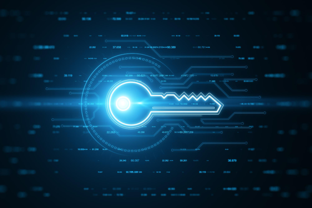 One key for encryption and decryption